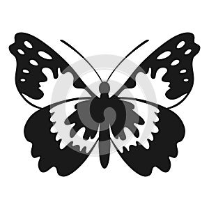 Vector Butterfly Black Silhouette Isolated on White Background. Decorative Insect Illustration