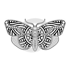 vector butterfly black and white element line art print design