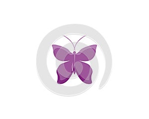 Vector - Butterfly conceptual simple, colorful icon. Logo. Vector illustration