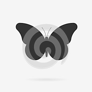 Vector Butterfly Icon