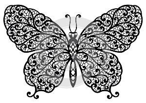 Vector butterfly illustration