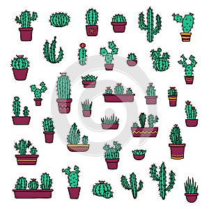 Vector cacti and succulents in colorful pots doodle illustration. Home and wild blooming cactus flower plants set