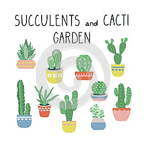 Vector cacti and succulents illustration set.