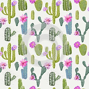 Vector Cactus Background. Seamless Pattern. Exotic Plant