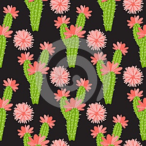 Vector Cactus with flowers pattern isolated on dark background.