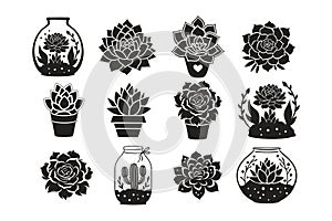 Vector cactus succulent silhouette set cutout nature black flower in a pot