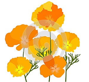 Vector California Poppies Abstract Background.