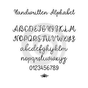 Vector Calligraphy Alphabet. Exclusive Letters. Decorative handwritten brush font for Wedding Monogram, Logo, Invitation