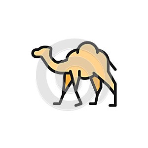 Vector camel, caravan, desert animal flat color line icon.