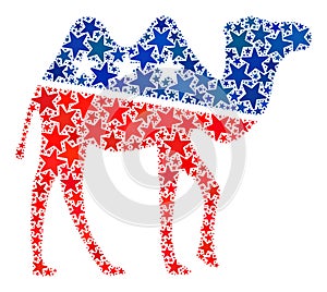 Vector Camel Composition of Stars in American Democratic Colors