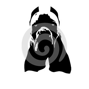 Italian Cane Corso dog logo photo