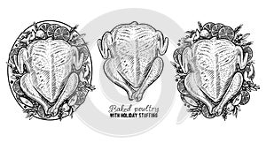 Vector carcass of chicken or turkey, hand drawn baked poultry. Engraving vintage food.