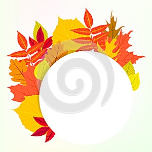 Vector card with autumn decor and leafs