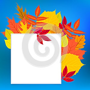 Vector card with autumn decor and leafs