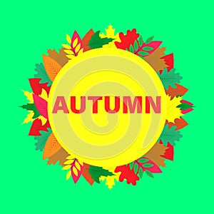 Vector card with colorful autumn leaves