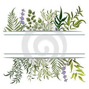 Vector card floral design with green watercolor fern leaves tropical forest greenery herbs decorative frame, border. Elegant