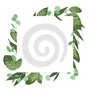 Vector card floral design with green watercolor, herbs, leaves e