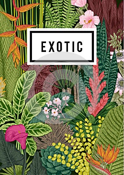 Vector card vintage. Exotic flowers and plants.