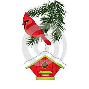 Vector Cardinal, Pine Tree Branch and Birdhouse