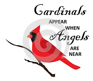 Vector Cardinals Appear when Angels are Near.