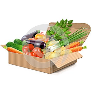 Vector Carton Box with Vegetables