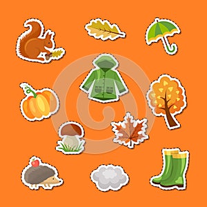 Vector cartoon autumn elements and leaves stickers set illustration