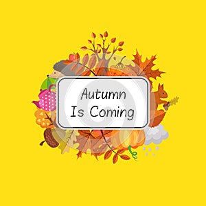 Vector cartoon autumn elements set and leaves