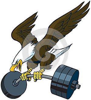 Vector Cartoon Bald Eagle Diving with Barbell
