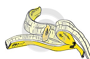 Vector cartoon banana.