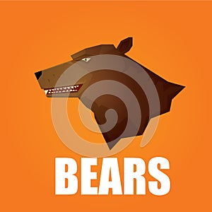 Vector cartoon bear. grizzle icon. bear muzzle