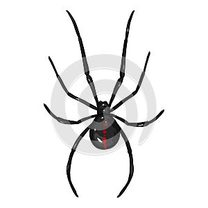 Vector Cartoon Black Widow Spider