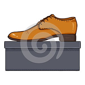 Vector Cartoon Brown Leather Men Shoes with Shoebox photo