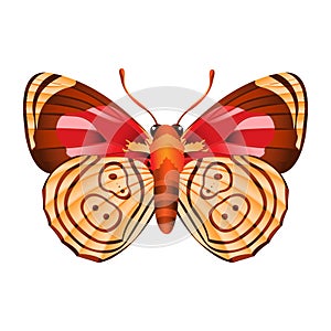 Vector Cartoon Butterfly 88 89 Character isolated illustration