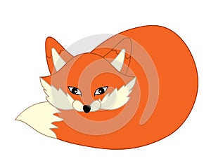 Vector Cartoon Cartoon Fox