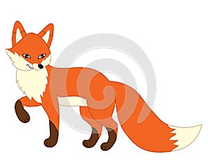 Vector Cartoon Cartoon Fox