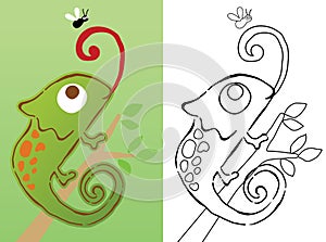 Vector cartoon of chameleon on tree branches stick out its tongue to hunting a fly, coloring book or page