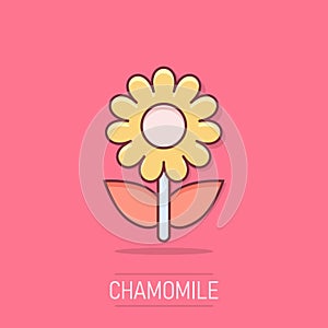 Vector cartoon chamomile flower icon in comic style. Daisy concept illustration pictogram. Camomile business splash effect concept