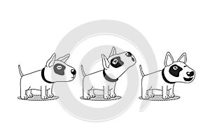 Vector cartoon character bull terrier dog poses