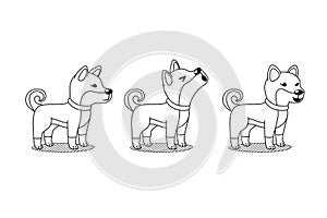 Vector cartoon character cute shiba inu dog poses