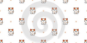 Vector cartoon character exotic shorthair cat seamless pattern background