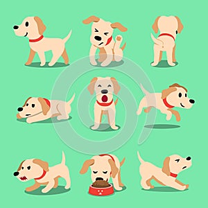 Vector cartoon character labrador dog poses