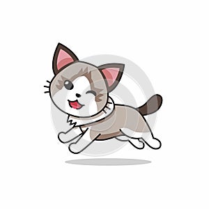 Vector cartoon character ragdoll cat running