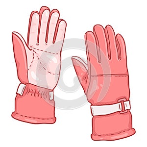 Vector Cartoon Color illustration - Pink Gloves for Extremal Winter Sports photo