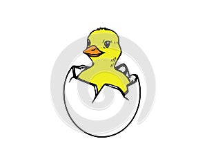 Vector cartoon cute baby chicken characters. Yellow small funny newborn chicks hatching, sitting in egg. Flat bird animal.
