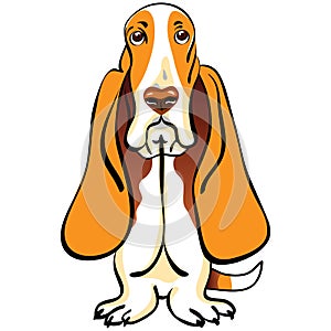 vector Cartoon Dog Basset Hound breed