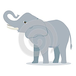 Vector cartoon elephant large concave back mammal asian elephant african bush with large ears illustration isolated