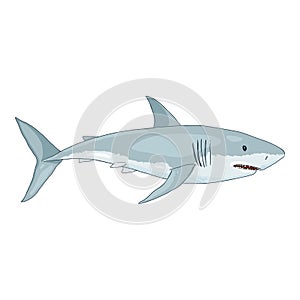 Vector Cartoon Great White Shark