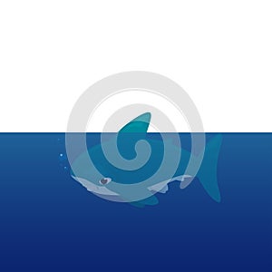 Vector cartoon - Hammerhead Shark (Sphyrnidae)