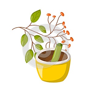 Vector cartoon herb pounder icon photo