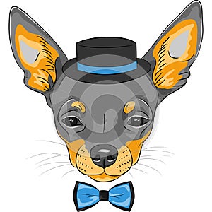 Vector cartoon hipster dog Chihuahua breed